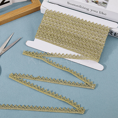 5Yards Polyester Lace Trim Ribbons OCOR-GF00005-12B-1