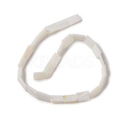 Natural Freshwater Shell Beads Strands BSHE-H018-03-1