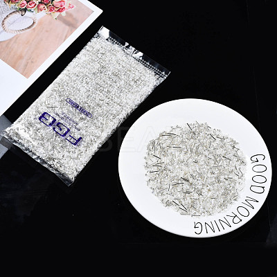 FGB Glass Seed Beads SEED-S056-001-1