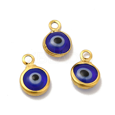 Ion Plating(IP) 304 Stainless Steel with Glass Enamel Charms STAS-G305-10G-06-1