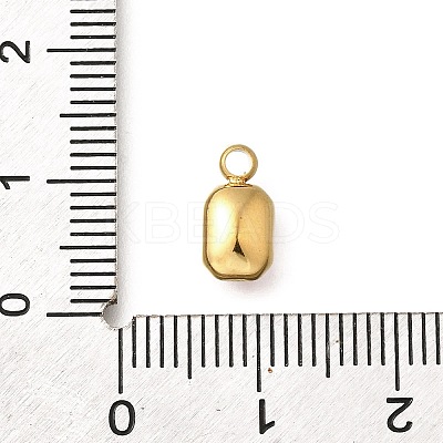 304 Stainless Steel Pendants STAS-Q346-03G-06-1