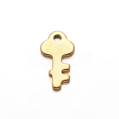 Ion Plating(IP) Key 304 Stainless Steel Charms STAS-M208-18-1