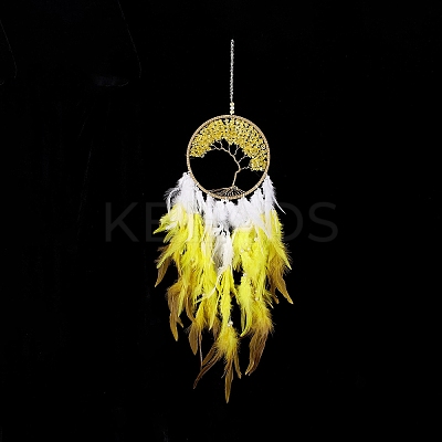 Iron Woven Web/Net with Feather Pendant Decorations AJEW-B017-12-1