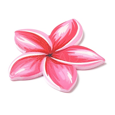 Opaque Acrylic Pendants SACR-P021-02C-1