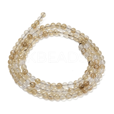 Watermelon Stone Glass Beads Strands G-Z116-A23-3mm-1