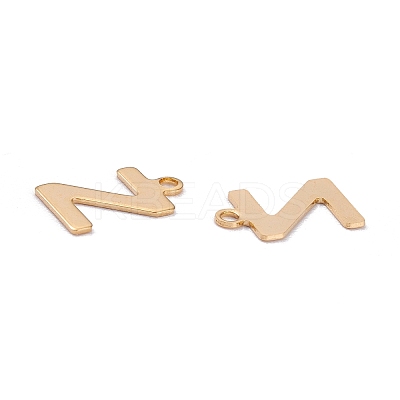 201 Stainless Steel Charms LS-STAS-C021-06G-Z-1