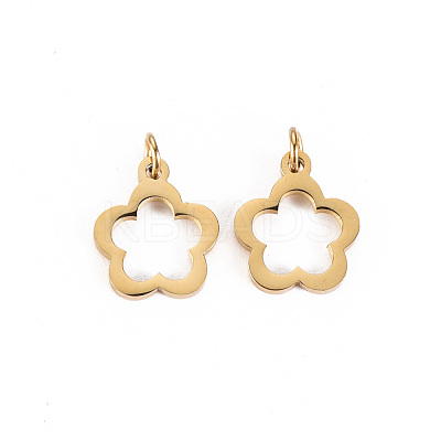304 Stainless Steel Charms STAS-S116-199G-1