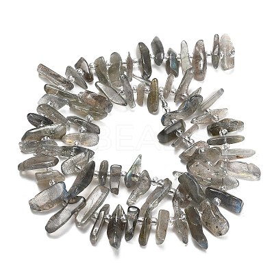 Natural Labradorite Beads Strands G-Z124-C01-01-1