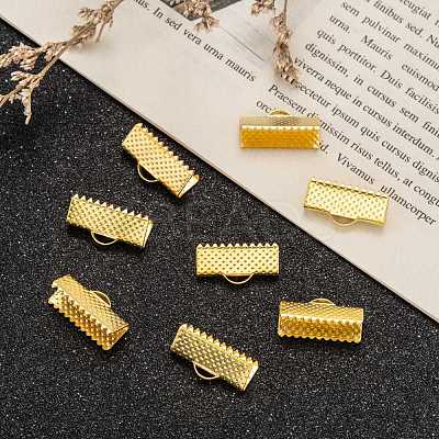 Iron Ribbon Crimp Ends E183Y-G-1