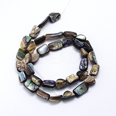 Natural Paua Shell Beads Strands SSHEL-J047-03-1