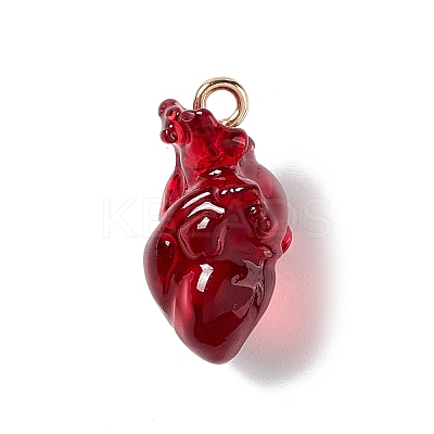 Transparent Resin Pendants X-RESI-E028-01G-01-1