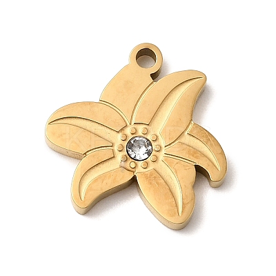 304 Stainless Steel Pendants STAS-K297-02B-G-1