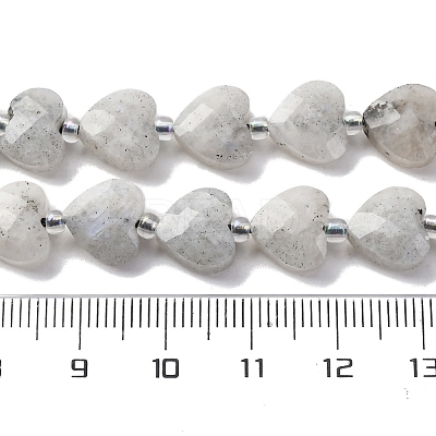 Natural Labradorite Beads Strands G-P570-E18-01-1