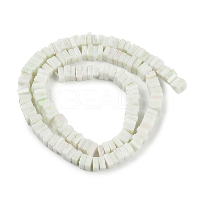 Handmade Lampwork Beads Strands LAMP-Q037-02B-19-1