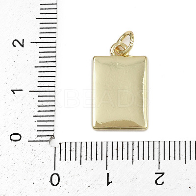Brass Enamel Pendants KK-D409-28G-1