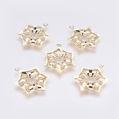 Brass Pendants LS-KK-I622-13G-B-NF-1