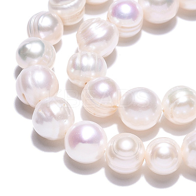 Natural Cultured Freshwater Pearl Beads Strands PEAR-S020-F11-01-1