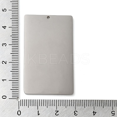 Non-Tarnish 304 Stainless Steel Pendants STAS-K270-29E-P-01-1