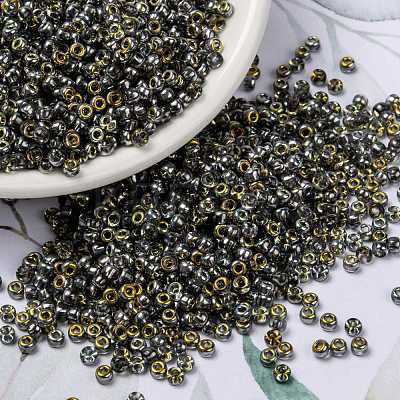 MIYUKI Round Rocailles Beads SEED-X0055-RR4551-1