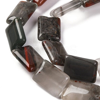 Natural African Bloodstone Beads Strands G-T047-B06-01-1