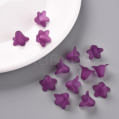 Transparent Acrylic Beads PLF018-16-1