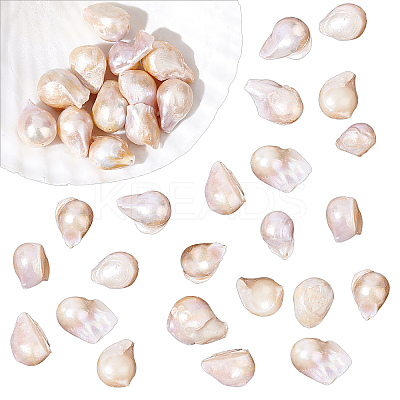 1 Strand Natural Baroque Pearl Keshi Pearl Beads Strands PEAR-NB0001-28-1