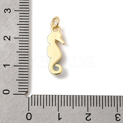 Brass Enamel Pendants KK-H267-106G-1