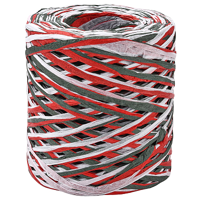 Segment Dyed Raffia Paper Cords for DIY Craft OCOR-WH20020-27E-1