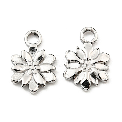Non-Tarnish 304 Stainless Steel Charm STAS-R124-03P-1
