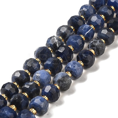 Natural Sodalite Beads Strands G-P508-A10-01-1