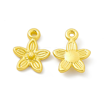 Rack Plating Alloy Charms FIND-G045-05MG-1