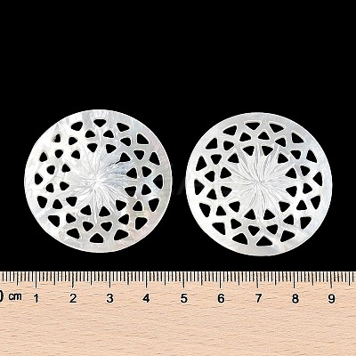 Natural White Shell Hollow Cabochons SSHEL-I026-19-1