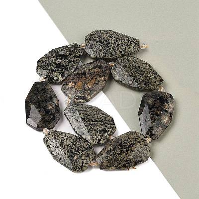 Natural Snowflake Obsidian Beads Strands G-P548-B20-01-1