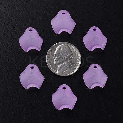 Transparent Acrylic Beads MACR-S373-106-D03-1