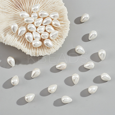 1 Strands Natural Shell Beads Strands BSHE-NB0001-25-1