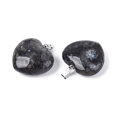 Natural Larvikite Pendants G-N349-05A-P-1