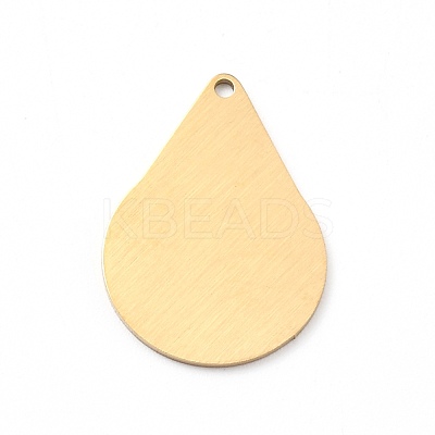 Ion Plating(IP) 304 Stainless Steel Pendants STAS-F271-05E-G-1