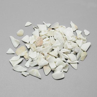 Natural Sea Shell Beads SSHEL-R036-016-1