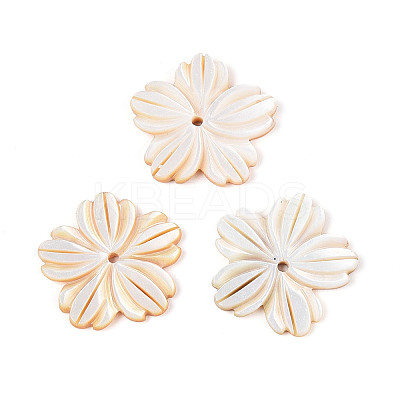 Natural Yellow Shell Carved Pendants BSHE-T014-11-1
