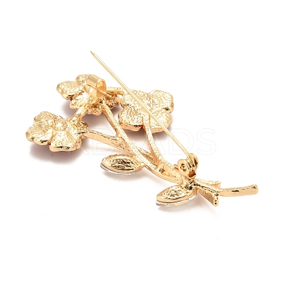 Alloy Brooches JEWB-B001-07KCG-1