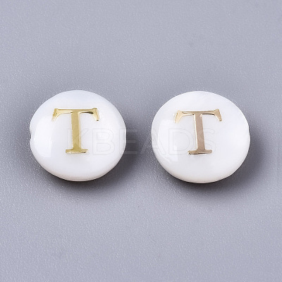 Natural Freshwater Shell Beads SHEL-S266-12T-1
