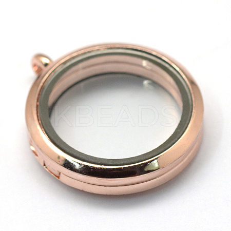 Flat Round Alloy Glass Magnetic Photo Frame Living Memory Floating Locket Pendants LS-PALLOY-S046-01RG-1