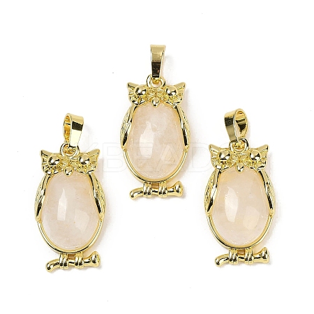 Natural Quartz Crystal Pendant KK-F887-02G-18-1