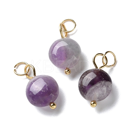 Natural Amethyst Pendants STAS-C120-10G-01-1