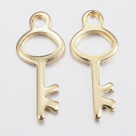 304 Stainless Steel Charms STAS-H436-62-1