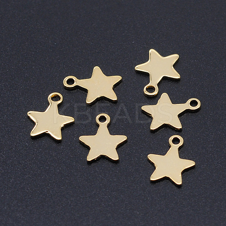 201 Stainless Steel Laser Cut Charms STAS-S105-T948-2-1