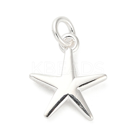 925 Sterling Silver Charms FIND-Z069-04S-A-1
