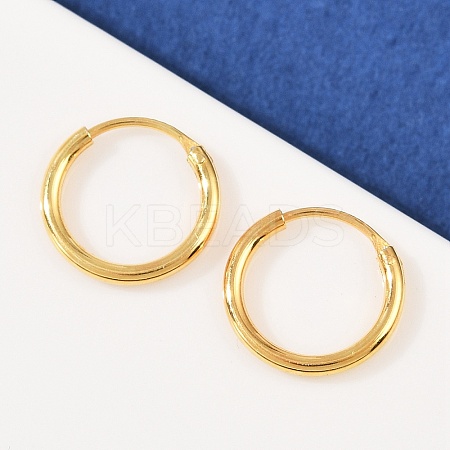 925 Sterling Silver Hoop Earrings LS-STER-B008-01A-G-1