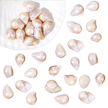 1 Strand Natural Baroque Pearl Keshi Pearl Beads Strands PEAR-NB0001-28-1