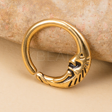 316L Surgical Stainless Steel Hoop Nose Rings WGE451E-04-1